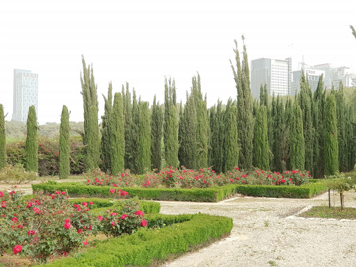 Garden at Tel Aviv