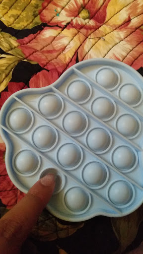 Toy Store «Learning Express», reviews and photos, 8451 Cooper Creek Blvd, University Park, FL 34201, USA