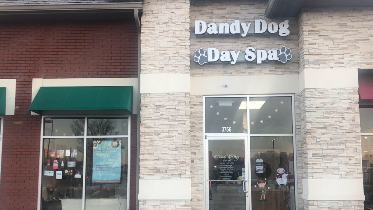 Dandy Dog Day Spa