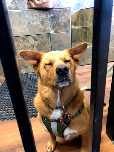 Pet Store «Pet Valu», reviews and photos, 2290 Central Park Ave, Yonkers, NY 10701, USA