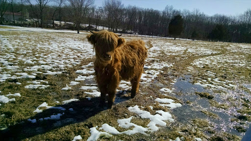 Gourmet Grocery Store «Highland Gourmet», reviews and photos, 343 County Road 519, Stockton, NJ 08559, USA