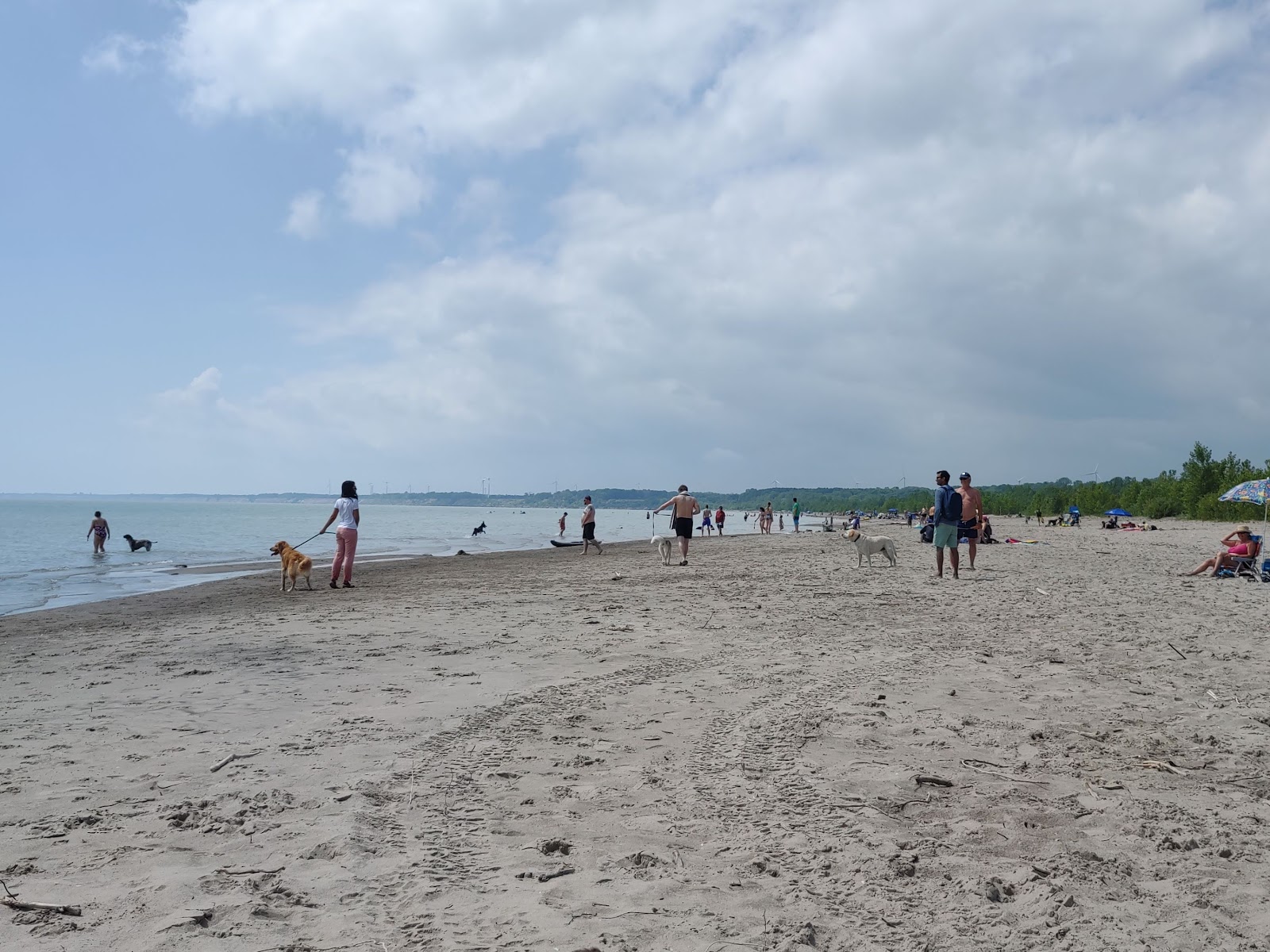Fotografie cu Dog Beach - locul popular printre cunoscătorii de relaxare