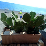 Photo n°1 de l'avis de Maurizio.i fait le 17/09/2020 à 14:19 sur le  Chiosco Free Time à Varigotti