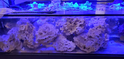 Tropical Fish Store «Delta Pet Center LLC», reviews and photos, 1370 Corporate Square Blvd, Slidell, LA 70458, USA