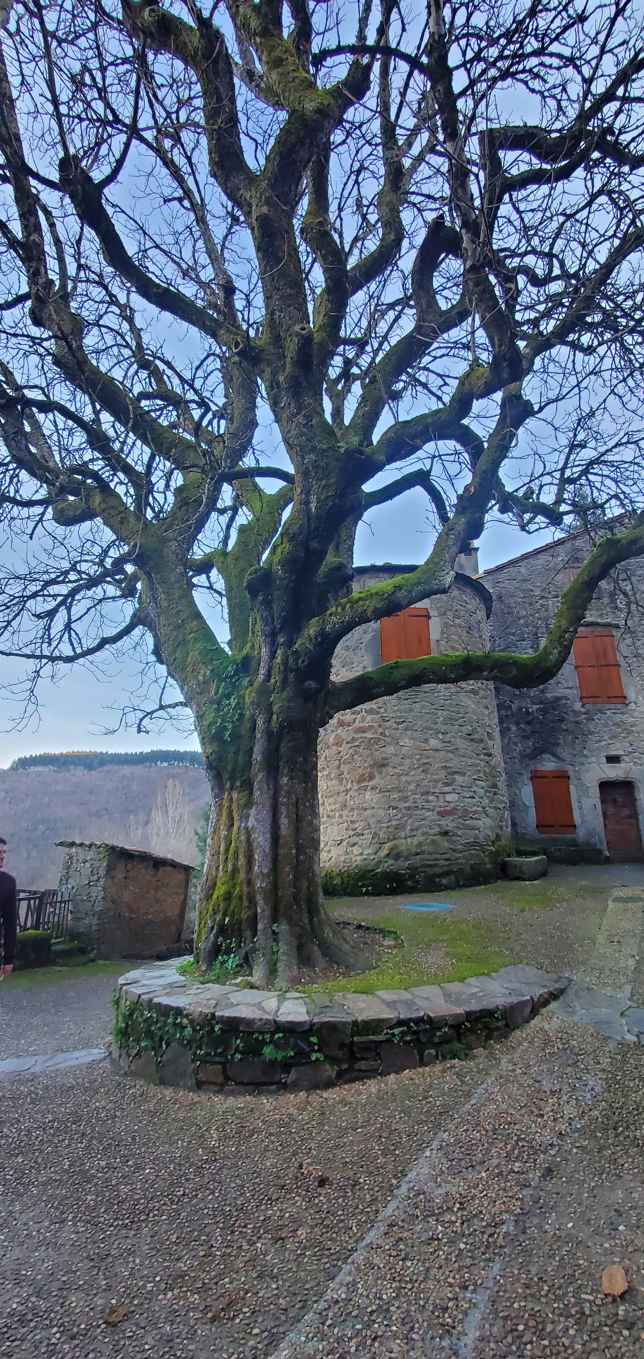 Photo n° 2 de l'avis de Silvin. fait le 10/02/2024 à 10:55