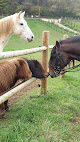 LE CHEVAL AUTREMENT Baneuil