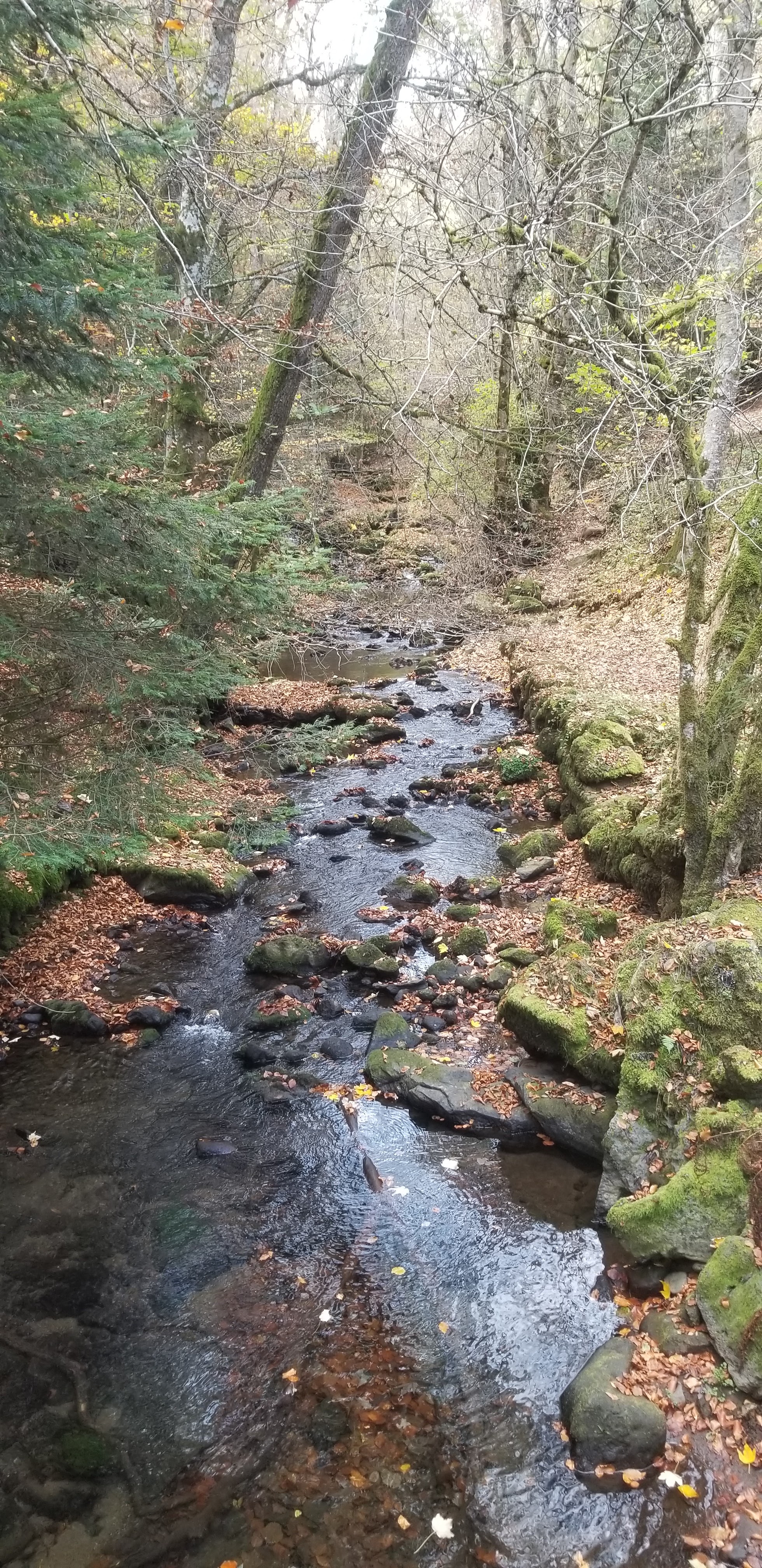 Photo n° 5 de l'avis de Céline.O fait le 31/10/2022 à 19:54