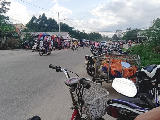 Top 12 cửa hàng tép cảnh Huyện Phú Vang Thừa Thiên Huế 2022