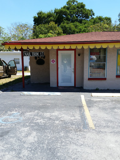 Pet Groomer «Doggy Styles Pet Salon», reviews and photos, 6310 Congress St, New Port Richey, FL 34653, USA