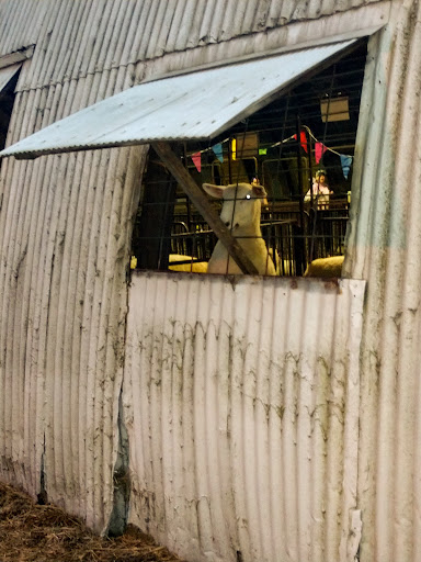 Tourist Attraction «Stark County Fair», reviews and photos, 305 Wertz Ave NW, Canton, OH 44708, USA