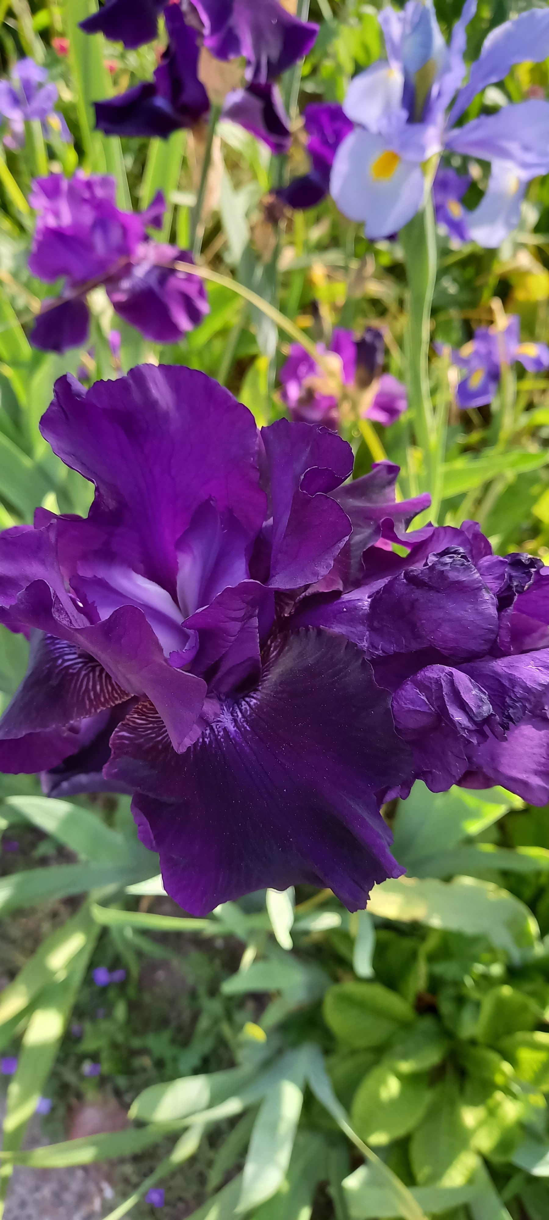 Photo n° 7 de l'avis de Gweyvan.r fait le 21/05/2023 à 19:47