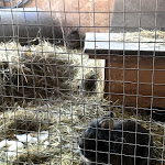 Photo n°31 de l'avis de Simon.� fait le 09/02/2018 à 08:39 sur le  Hotel Landhaus zur Ohe GmbH à Schönberg