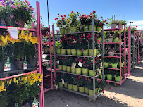 Walmart Garden Center - Photo 6 - Car repair in Fayetteville, AR, Fayetteville