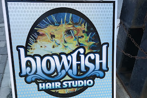 Blowfish Hair Studio