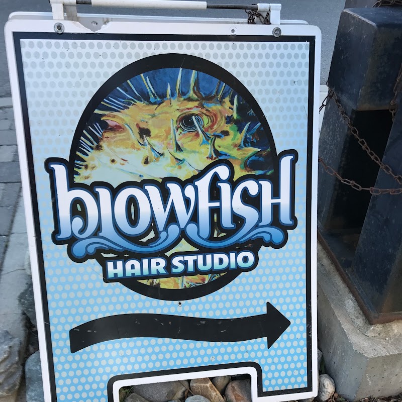 Blowfish Hair Studio