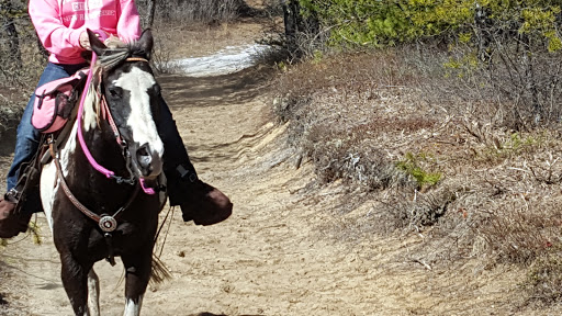 State Park «Myles Standish State Forest», reviews and photos, 194 Cranberry Rd, Carver, MA 02330, USA