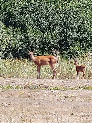 Casino «Kansas Star Casino», reviews and photos, 777 Kansas Star Drive, Mulvane, KS 67110, USA