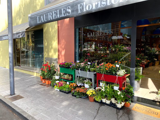 Floristeria Laureles en Los Llanos