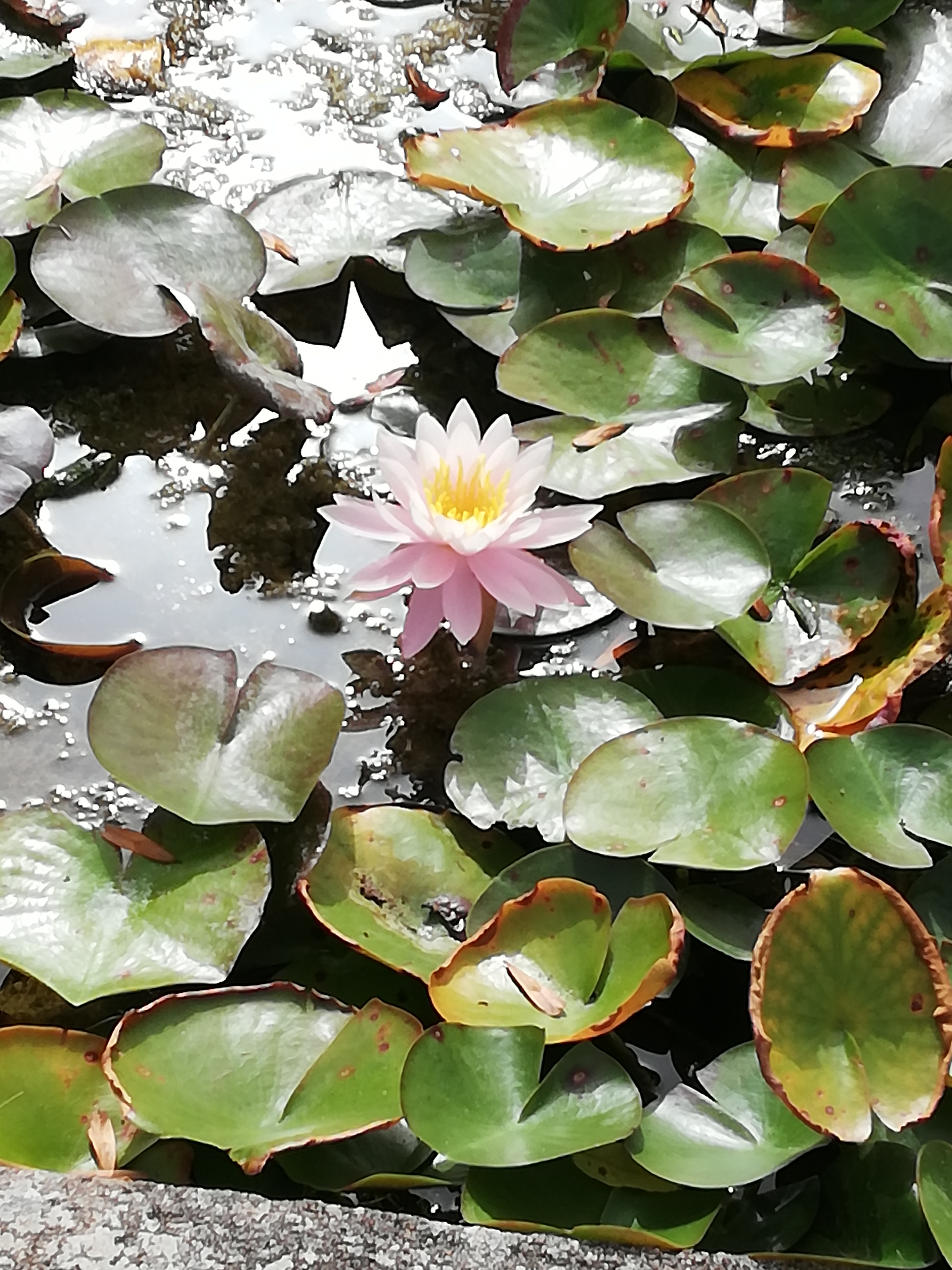 Photo n° 6 de l'avis de Sandrine.i fait le 05/09/2023 à 15:38