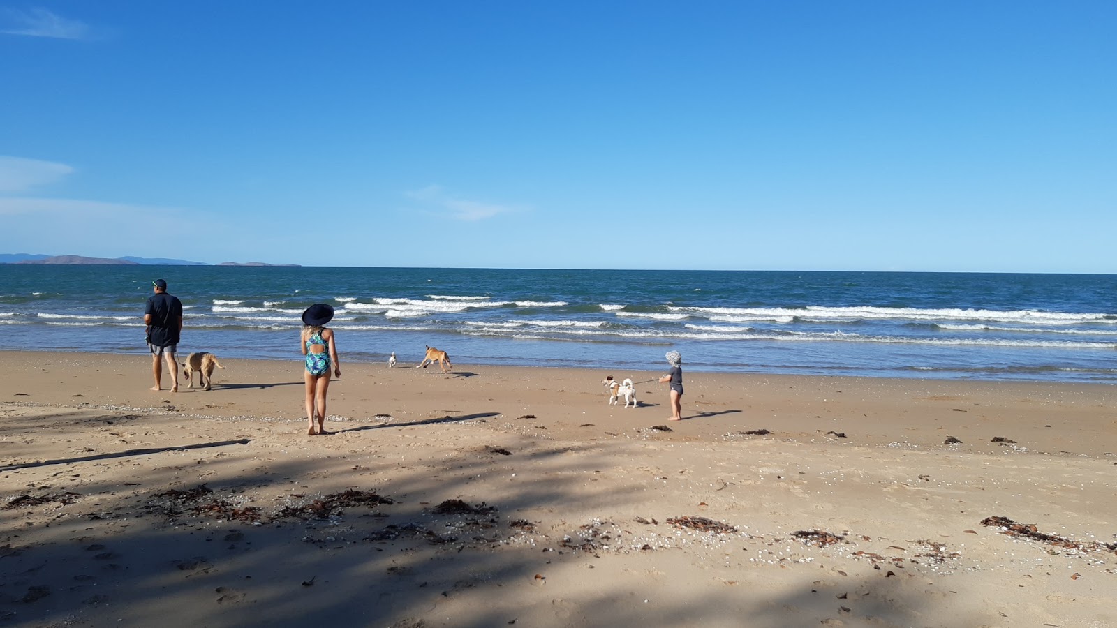 Saunders Beach 🏖️ Townsville, Australia detailed features, map, photos