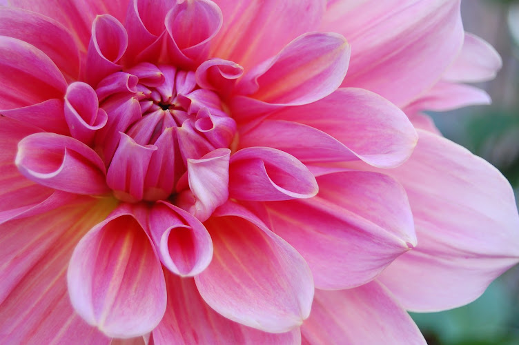 Sacred Solutions Spiritual Healing & Home Clearing with Cheryl