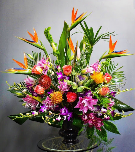 Florist «Black Forest Flowers and Gifts», reviews and photos, 3426 Tampa Rd, Palm Harbor, FL 34684, USA