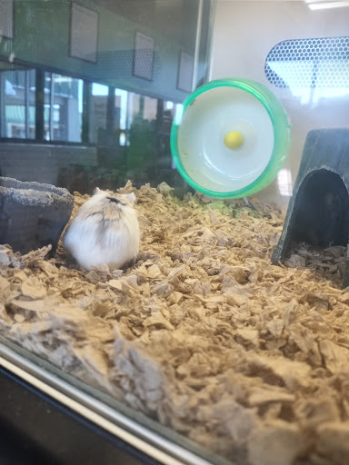 Pet Supply Store «Pet Supplies Plus», reviews and photos, 1791 W Columbia Ave, Battle Creek, MI 49015, USA