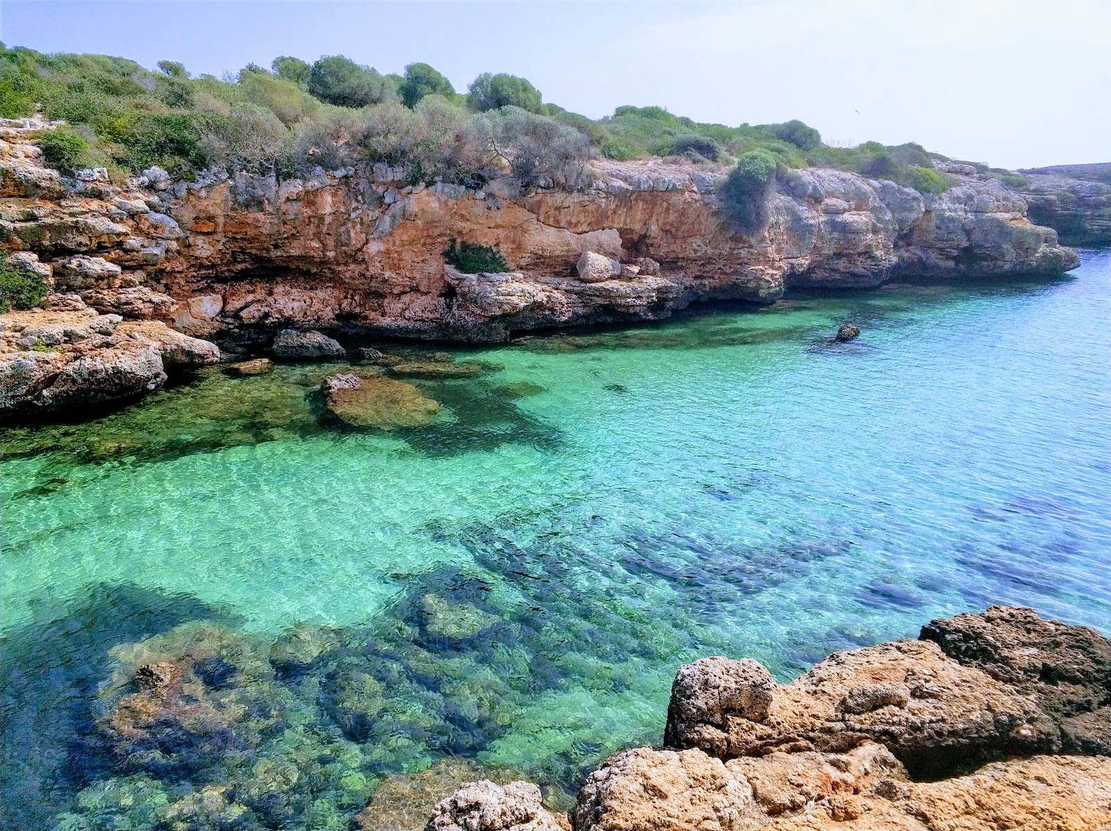 Cala Petita'in fotoğrafı vahşi alan