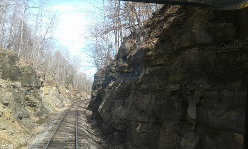 Pavones Pet Retreat Llc, 3350 Hwy 64 NE, New Salisbury, IN 47161, USA, 