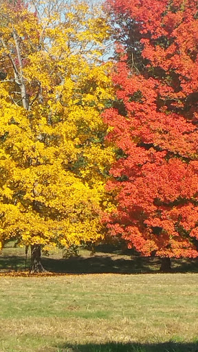 National Park «Valley Forge National Historical Park», reviews and photos, 1400 N Outer Line Dr, King of Prussia, PA 19406, USA