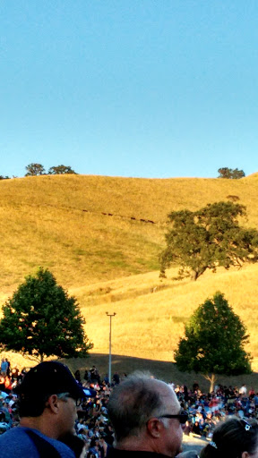 Live Music Venue «Concord Pavilion», reviews and photos, 2000 Kirker Pass Rd, Concord, CA 94521, USA