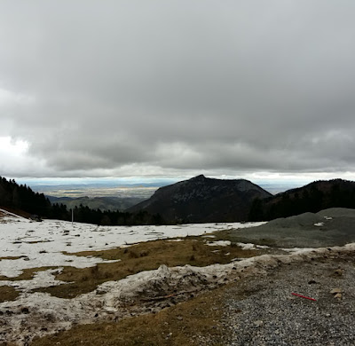 Bois et Montagne d'Artigous à Nistos