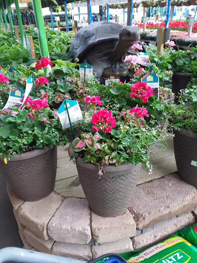 Home Improvement Store «Menards», reviews and photos, 11357 N Linden Rd, Clio, MI 48420, USA