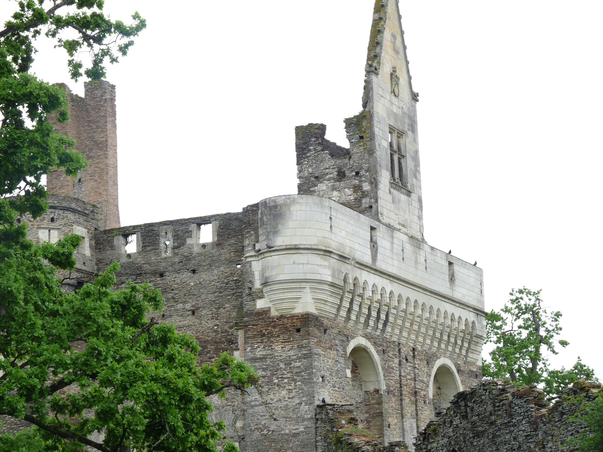 Photo n° 21 de l'avis de Guillaume.i fait le 16/05/2019 à 19:52