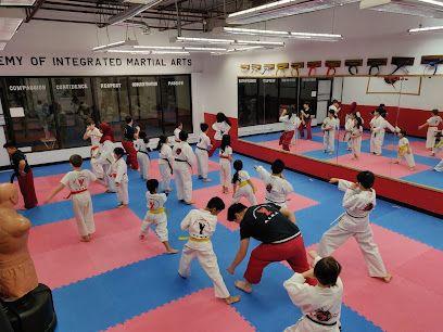 Academy of Integrated Martial Arts