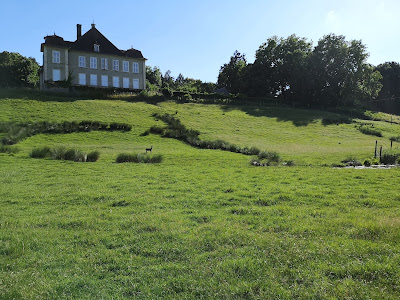 Parc animalier du château de Moidière à Bonnefamille