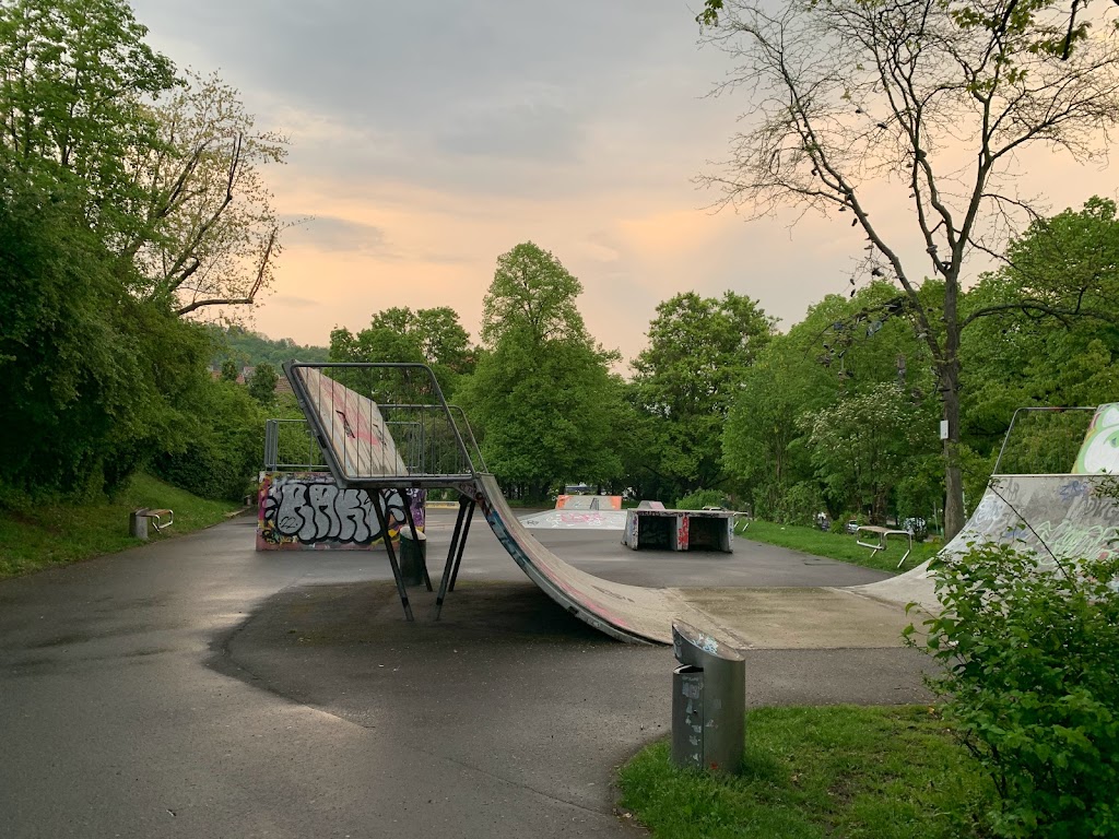 Skatepark Arlinger