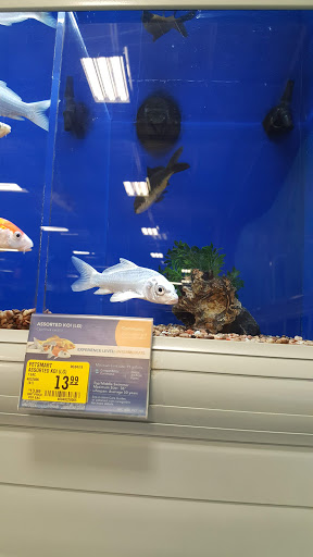 Pet Supply Store «PetSmart», reviews and photos, 2929 James Sanders Blvd f, Paducah, KY 42001, USA