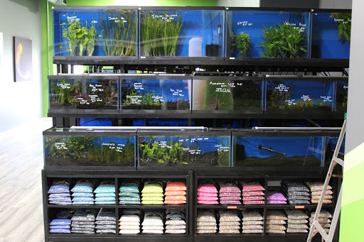 Tropical Fish Store «America Aquaria», reviews and photos, 3485 N 124th St, Brookfield, WI 53005, USA