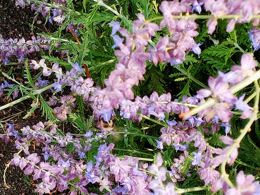 Tourist Attraction «Fond Du Lac Lighthouse», reviews and photos, Lighthouse Dr, Fond du Lac, WI 54935, USA