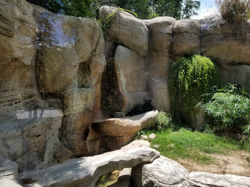 Zoo «Reid Park Zoo», reviews and photos, 3400 Zoo Court, Tucson, AZ 85716, USA