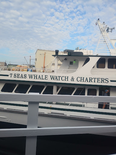 Cruise Agency «Capt. Bill & Sons Whale Watch», reviews and photos, 24 Harbor Loop, Gloucester, MA 01930, USA