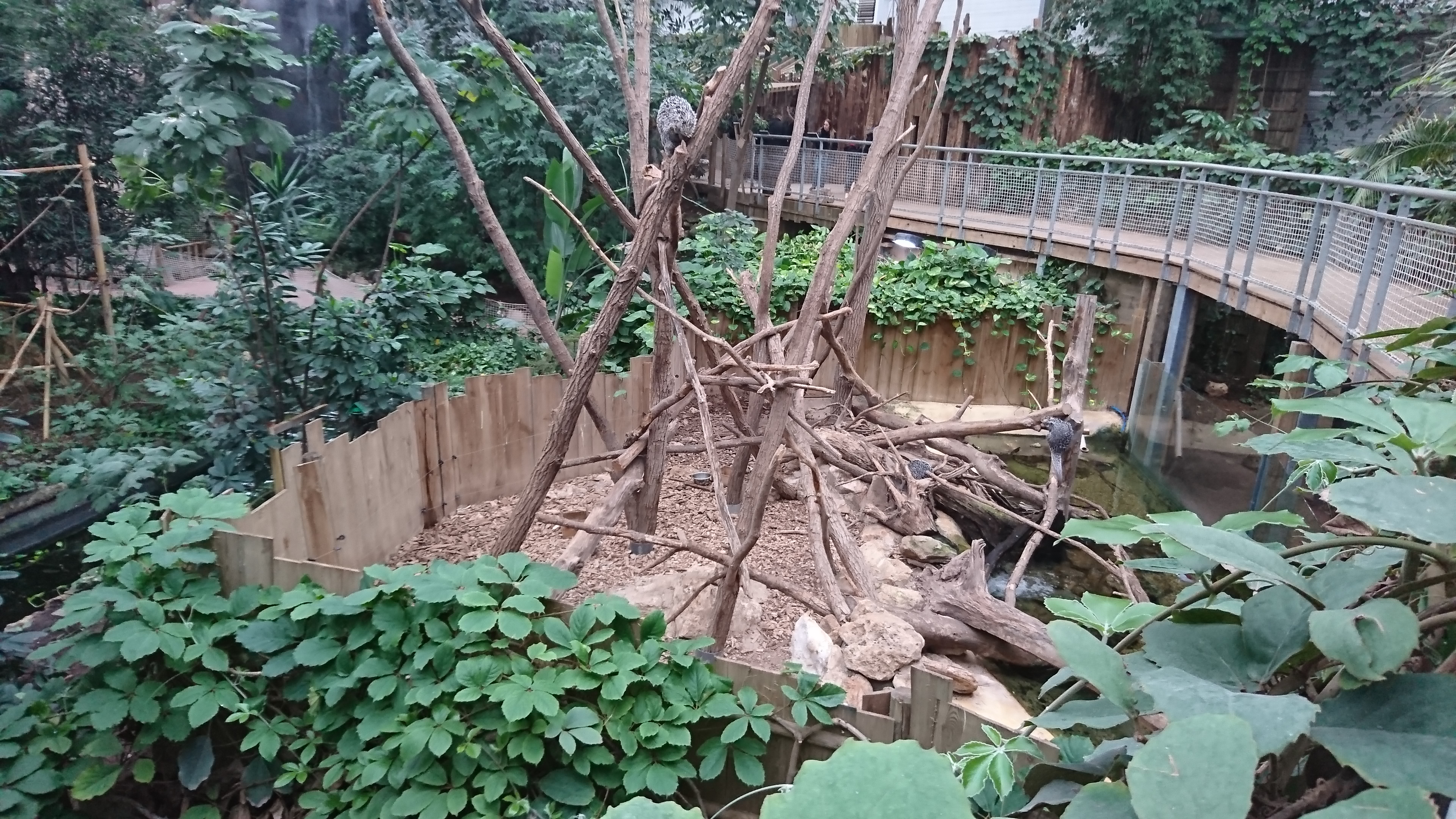 Photo n° 25 de l'avis de Stephane.e fait le 15/12/2018 à 21:01