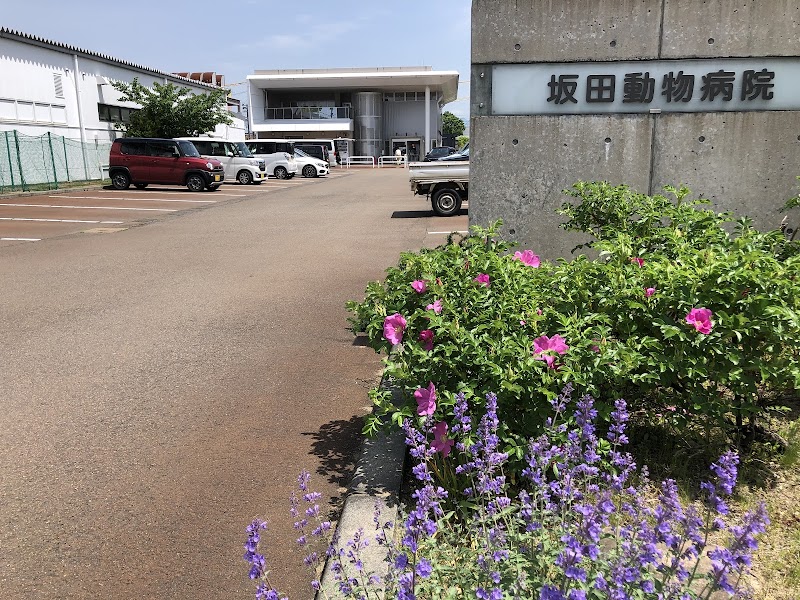 坂田動物病院