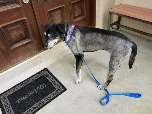 Pet Groomer «Furry Tails Pet Grooming», reviews and photos, 865 Cypress Pkwy, Poinciana, FL 34759, USA