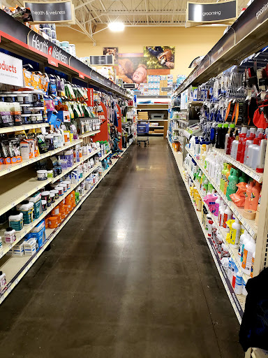 Pet Supply Store «PetSmart», reviews and photos, 2920 Little Rd, Trinity, FL 34655, USA