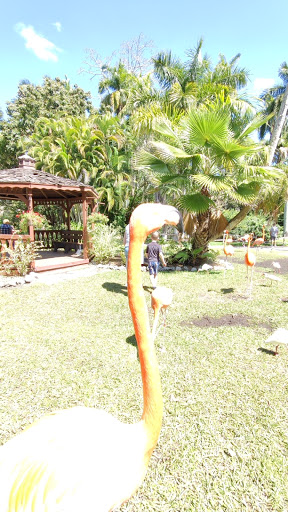 Zoo «Sarasota Jungle Gardens», reviews and photos, 3701 Bay Shore Rd, Sarasota, FL 34234, USA