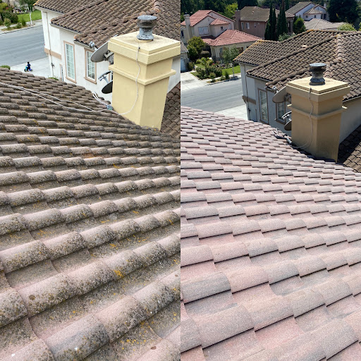 Peninsula Exterior Cleaning image