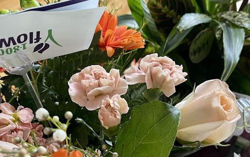 Florist «1-800-Flowers», reviews and photos, 2101 Hillside Avenue, New Hyde Park, NY 11040, USA