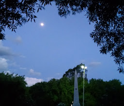 Parque Roma photo